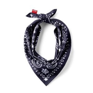 18"x18" Pet Bandana